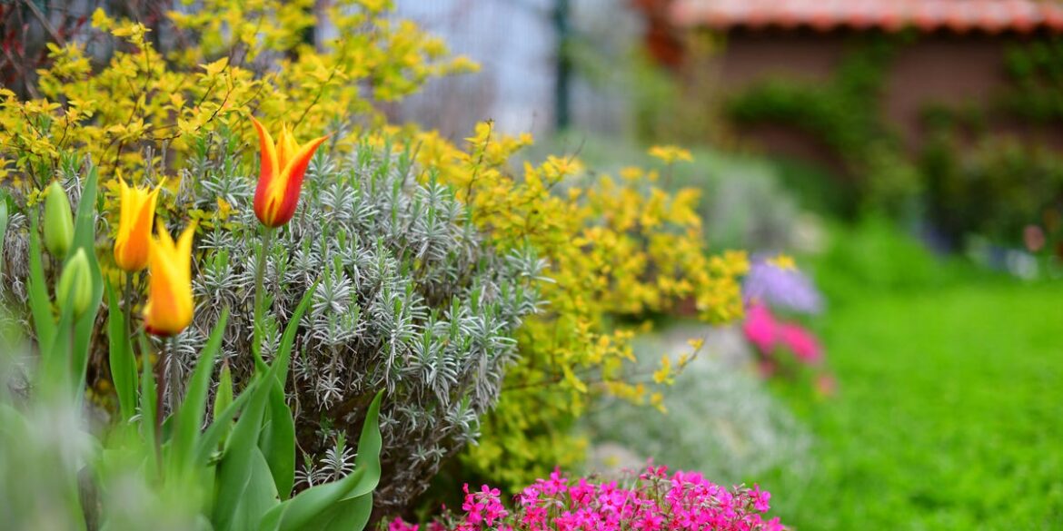 These simple garden tweaks could grow the value of your property These simple garden tweaks could grow the value of your property