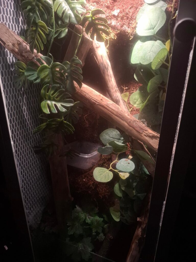 Vivarium made out of an IKEA Baggebo cabinet Vivarium made out of an IKEA Baggebo cabinet