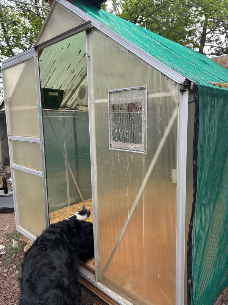 Beginner Greenhouse Remodel Beginner Greenhouse Remodel