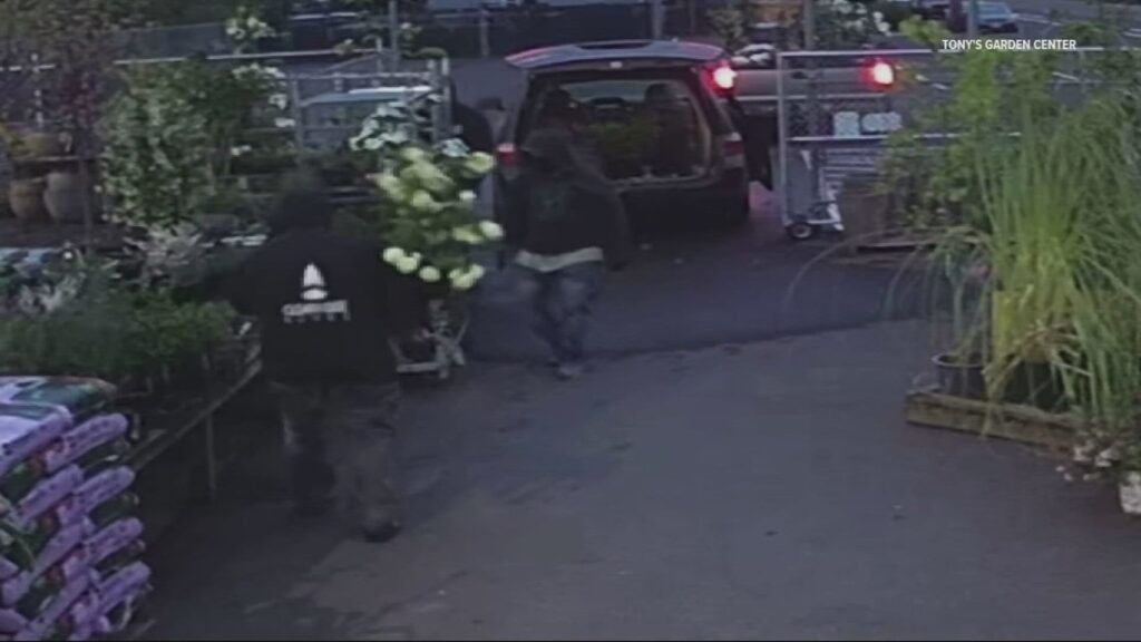 Plants stolen from Southeast Portland garden center during early morning break-in