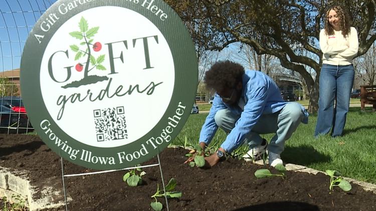Community gardening initiative returns to the Quad Cities for a second year Yahoo news home