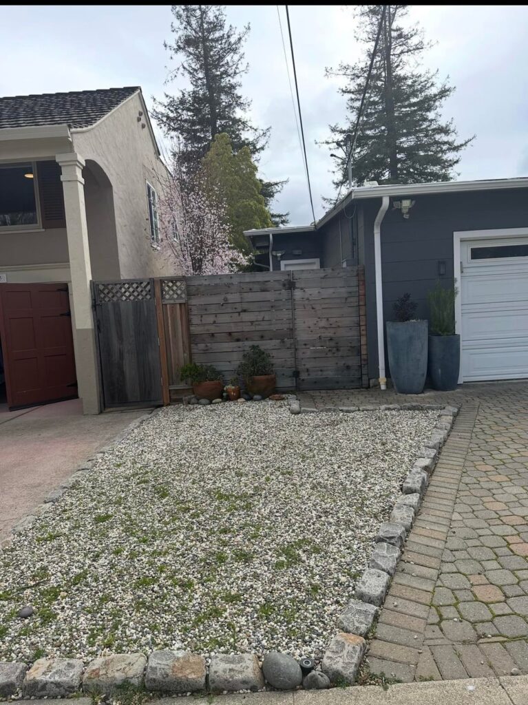 From rock garden to modern Japanese Maple Garden…3 years later. From rock garden to modern Japanese Maple Garden…3 years later.