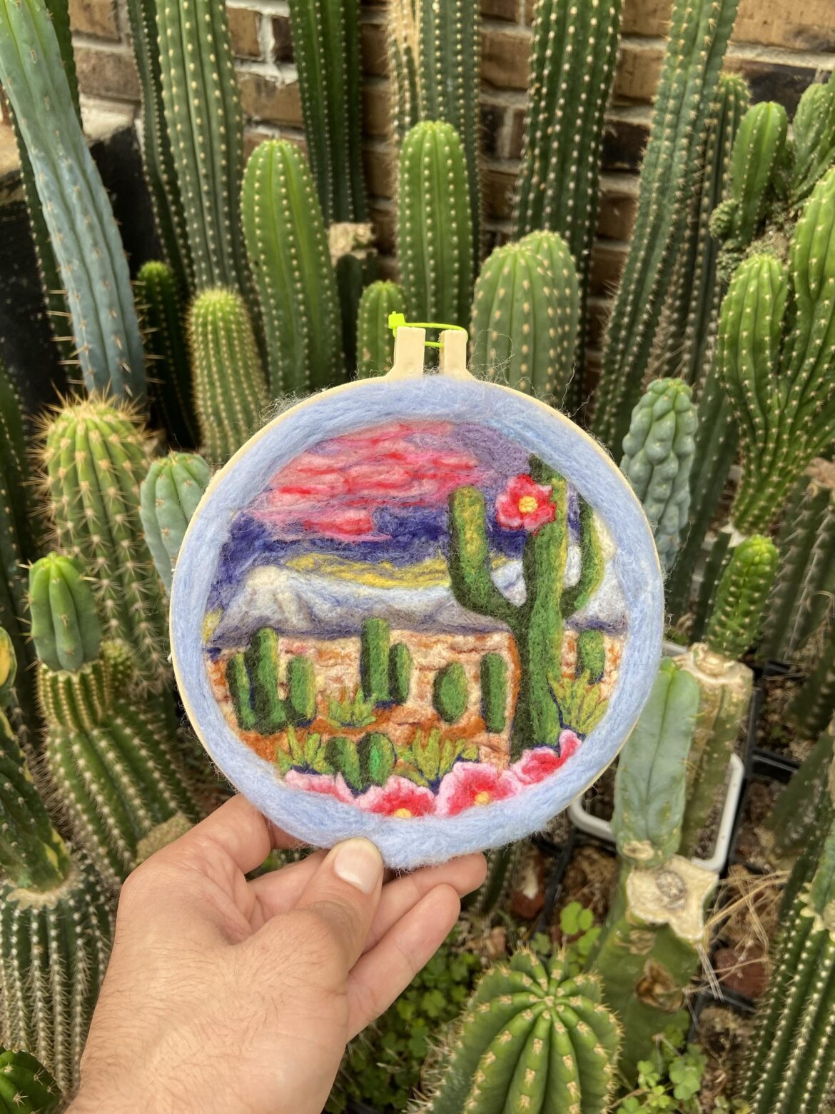Needle felt Cactus 🌸🏔️