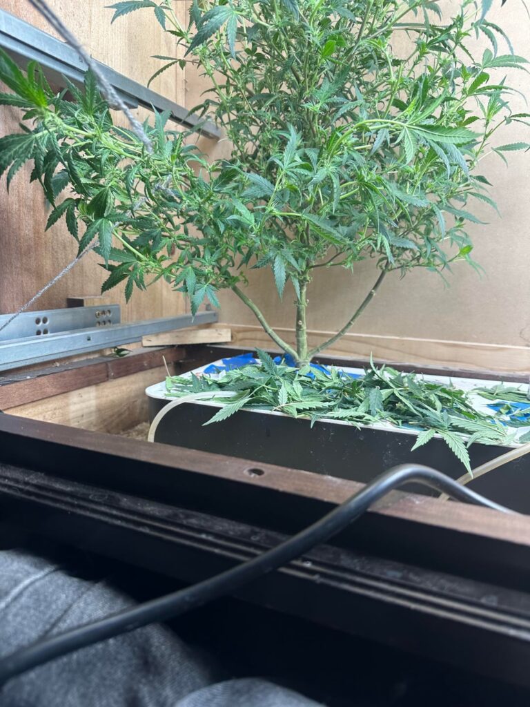 How’s she doing