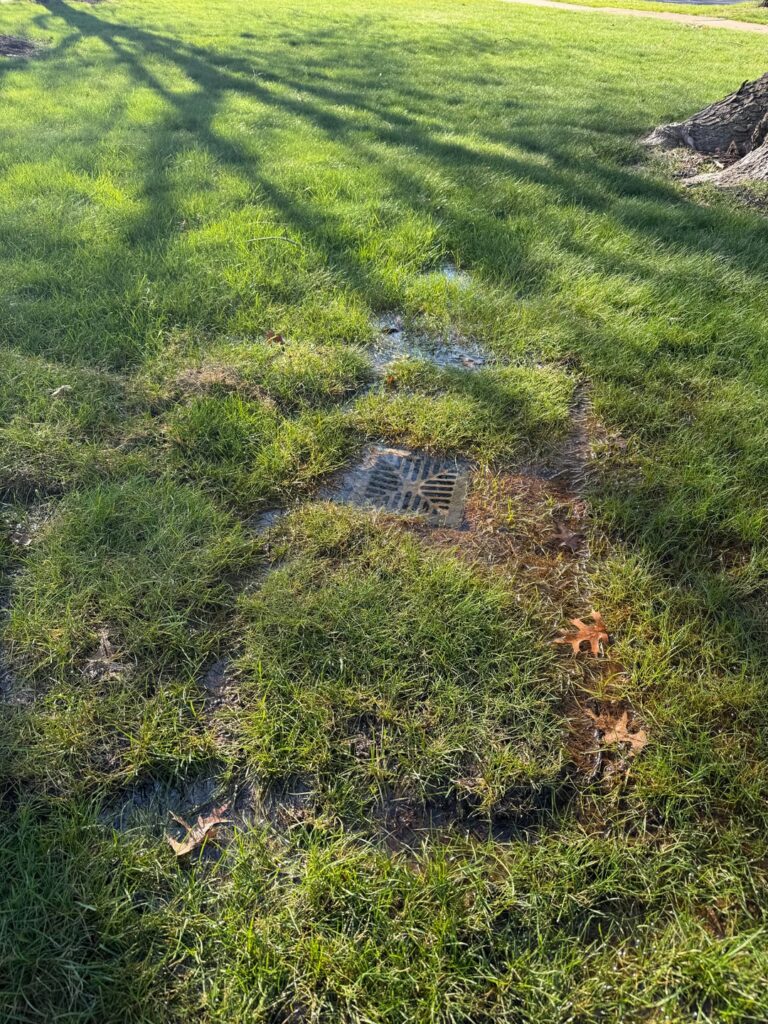 Puddle of water around where water discharges.