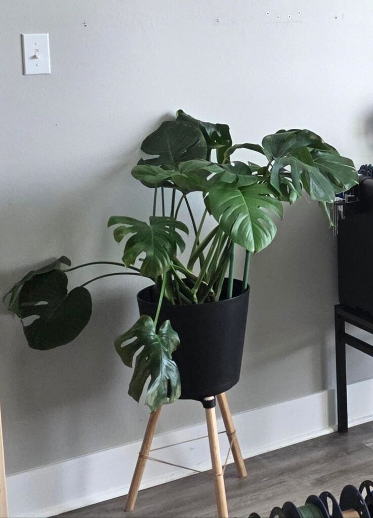 Advice wanted. Any and ALL accepted!