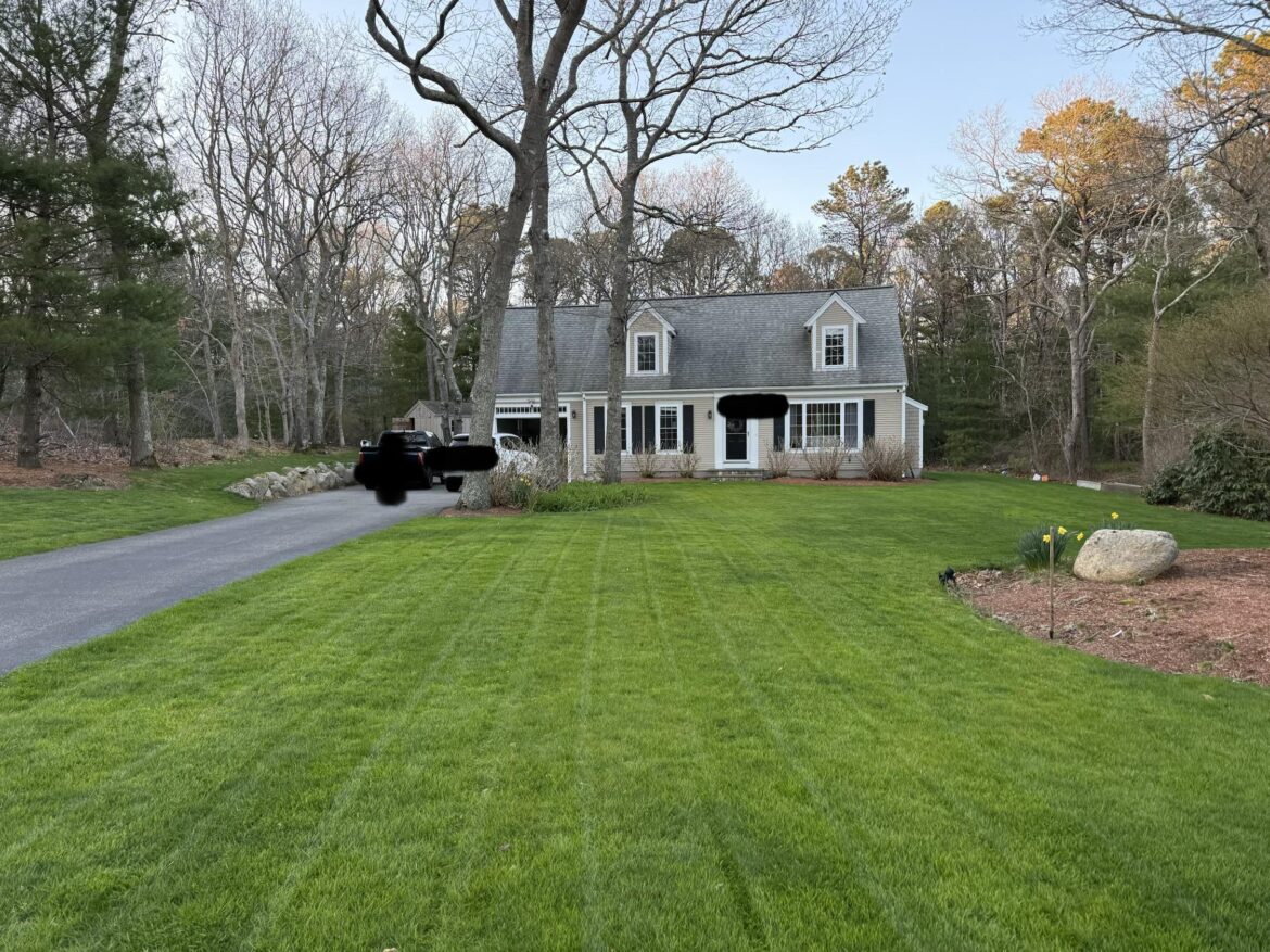 First Mow of the Year!