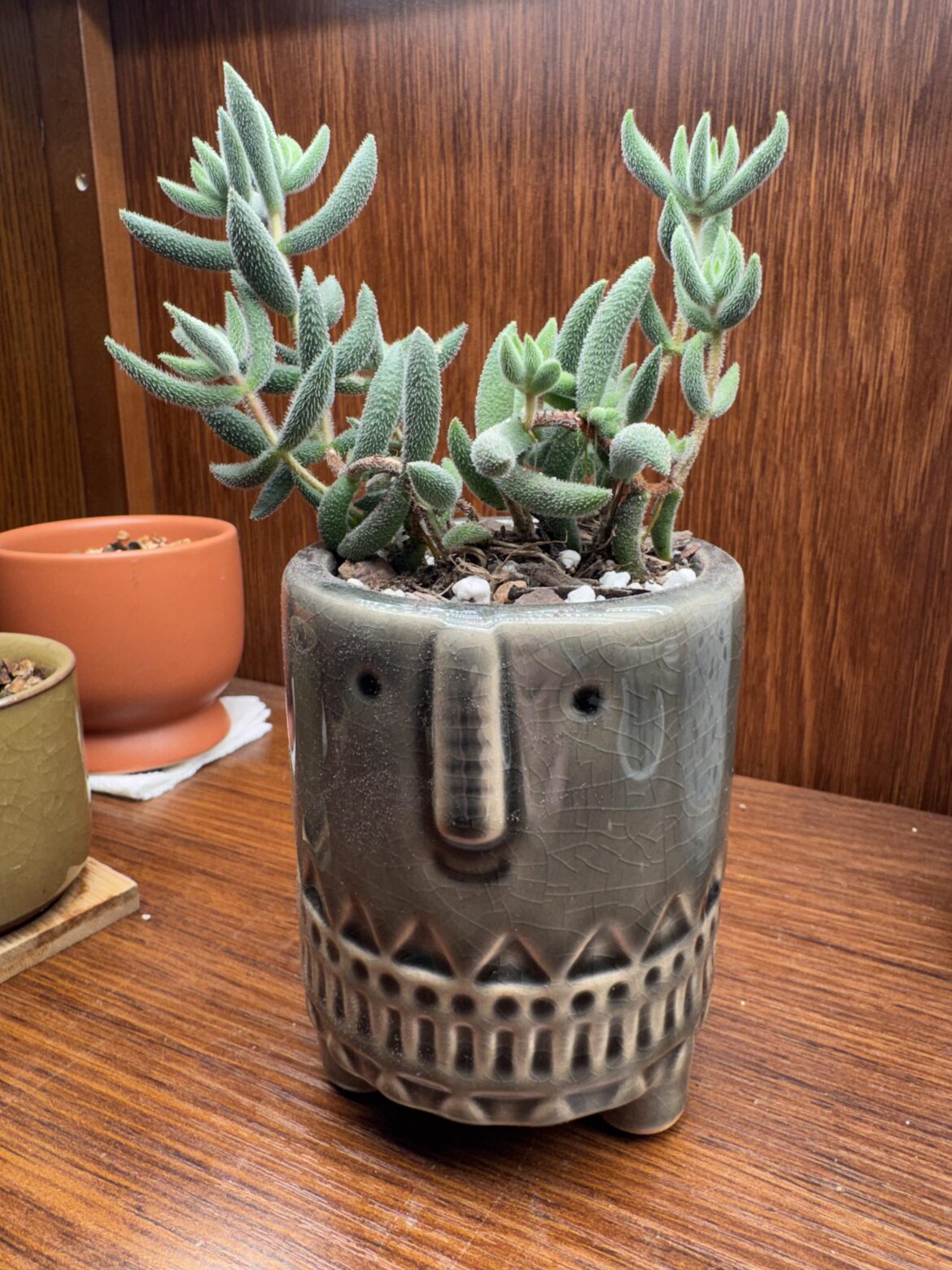 My handsome new friend My handsome new friend
