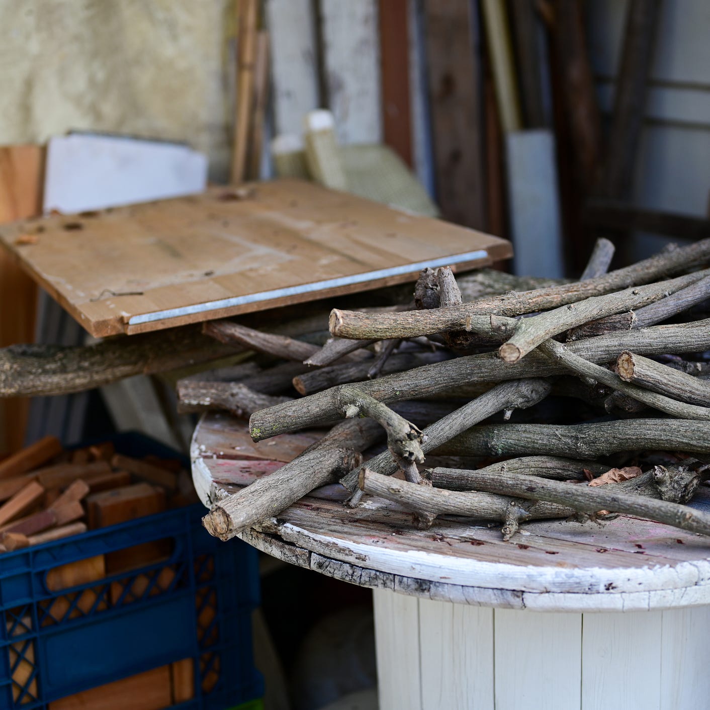 piles of wood inside a messy backyard shed