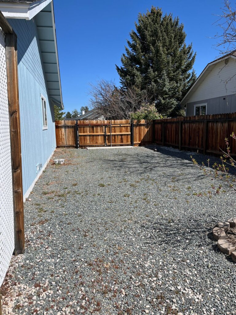 Hello. Wondering where is best to plant Chester and triple crown blackberries if my house faces north and I get full sun in backyard. Hello. Wondering where is best to plant Chester and triple crown blackberries if my house faces north and I get full sun in backyard.