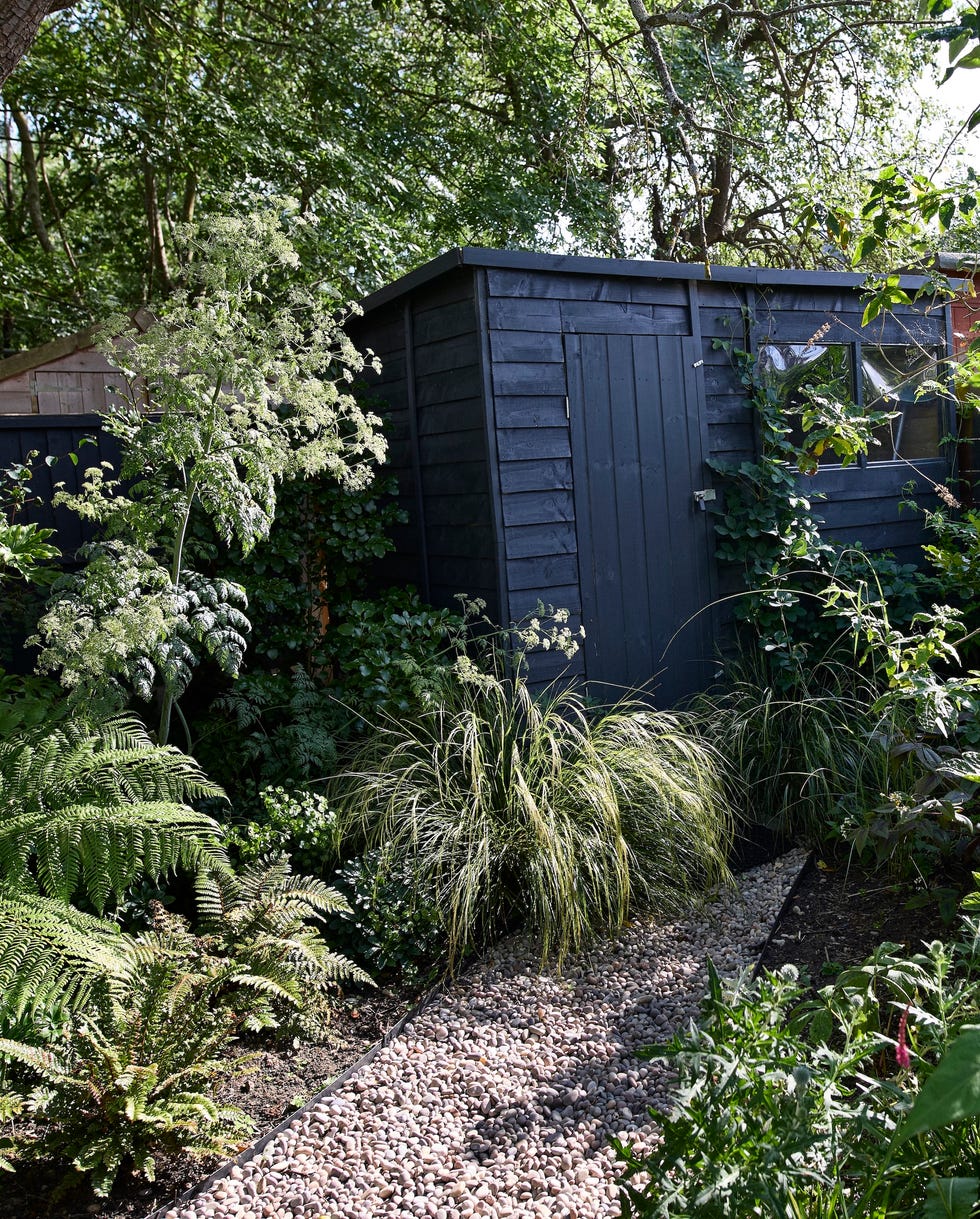 storage room amidst plants and trees in back yard at sunny day