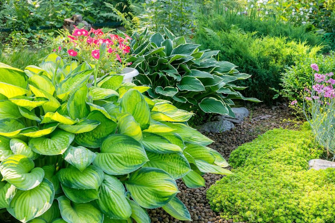9 Companion Plants For Hostas—And What To Avoid Planting Nearby 9 Companion Plants For Hostas—And What To Avoid Planting Nearby