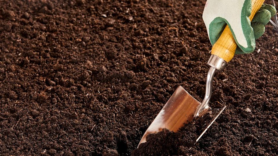  Preparing soil. 