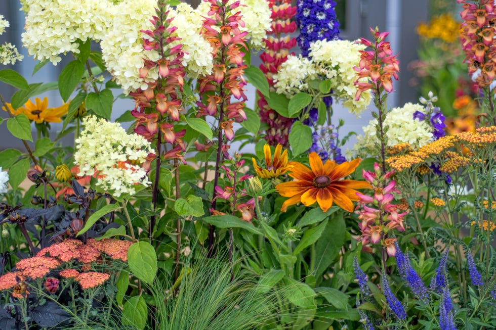Colorful Mixed Flowers Colorful Mixed Flowers
