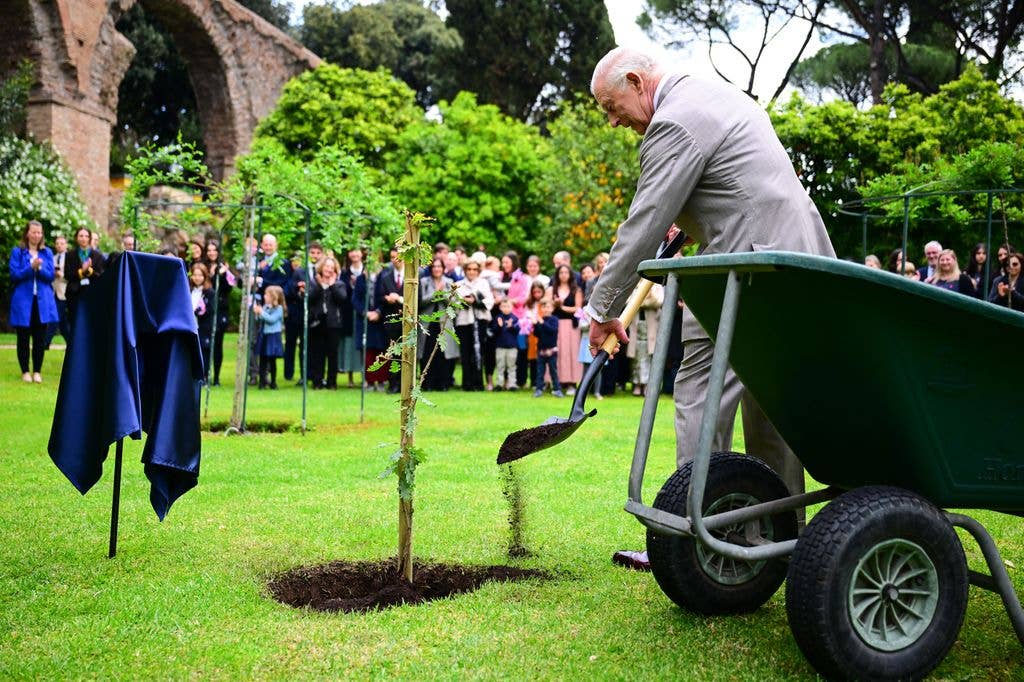 King Charles shovelling soil to plant tree
