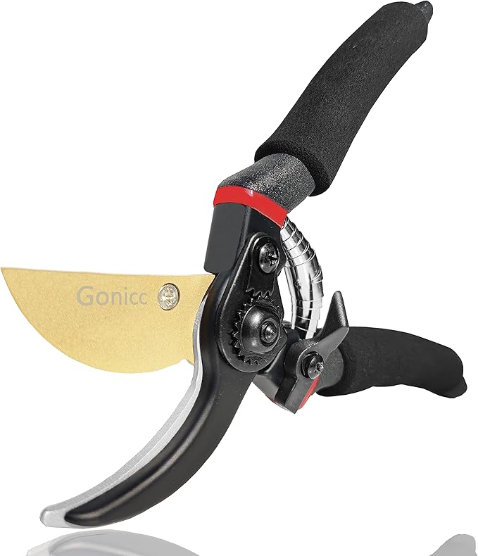 Best Pruning Shears for Hydrangeas That Will Transform Your Garden Best Pruning Shears for Hydrangeas That Will Transform Your Garden