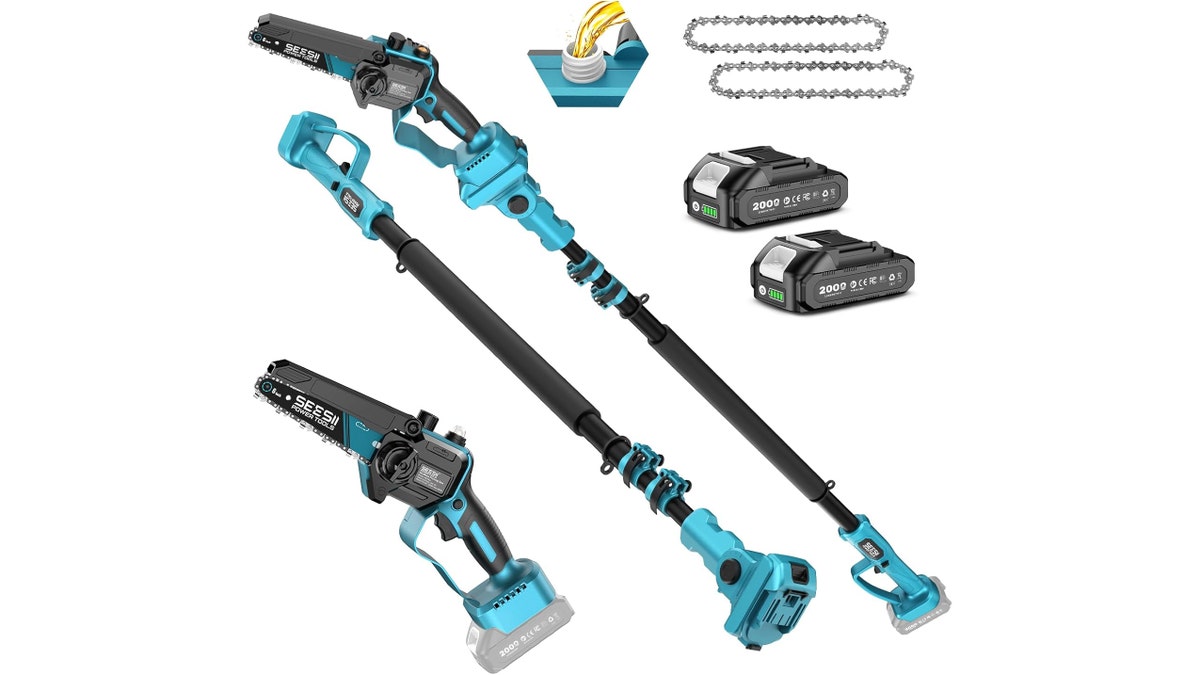 This pole saw comes apart into a mini chainsaw. 
