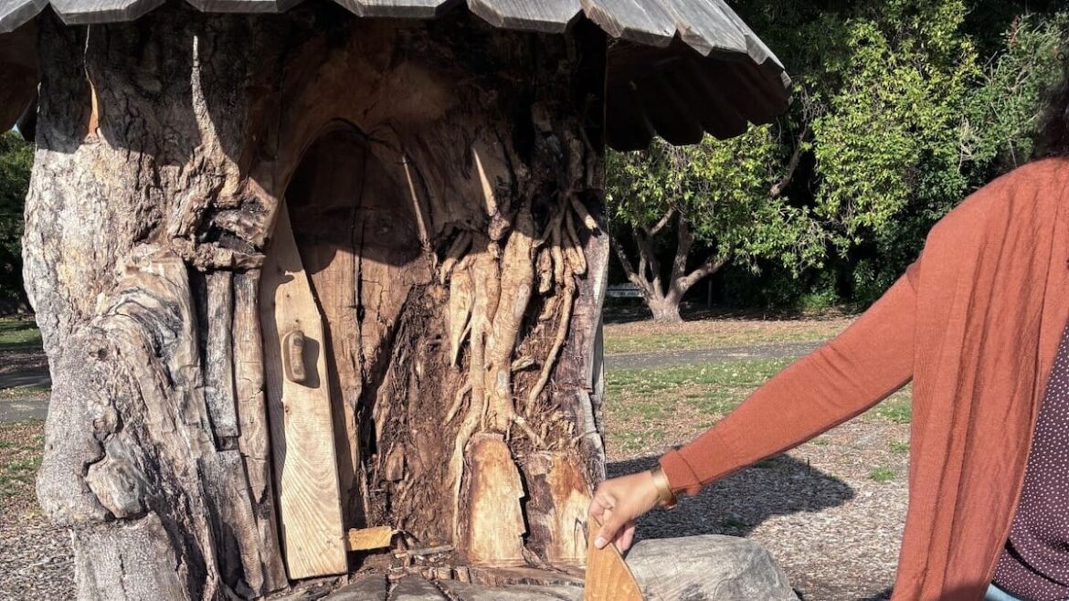 Plea for info after vandalism at Gisborne’s Botanical Gardens