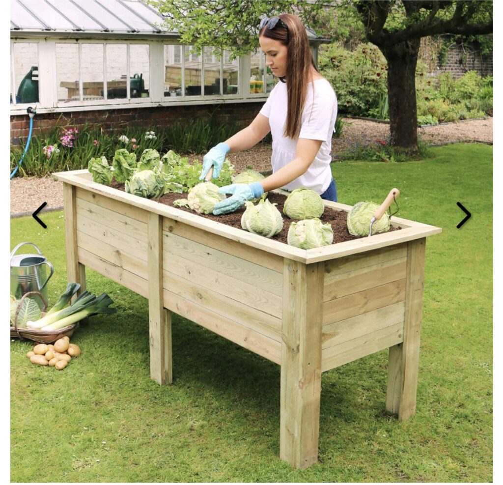 Raised veg planter
