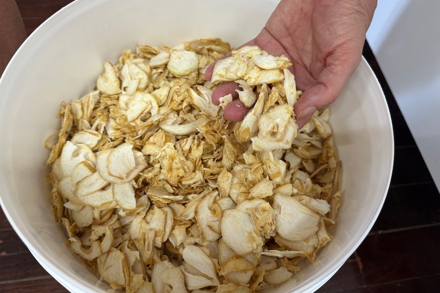 A bucket of dried, sliced garlic.