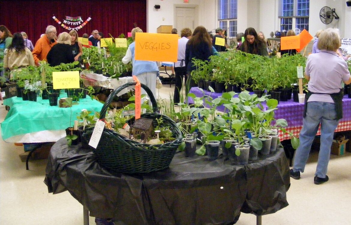 ENGC Plant Sale