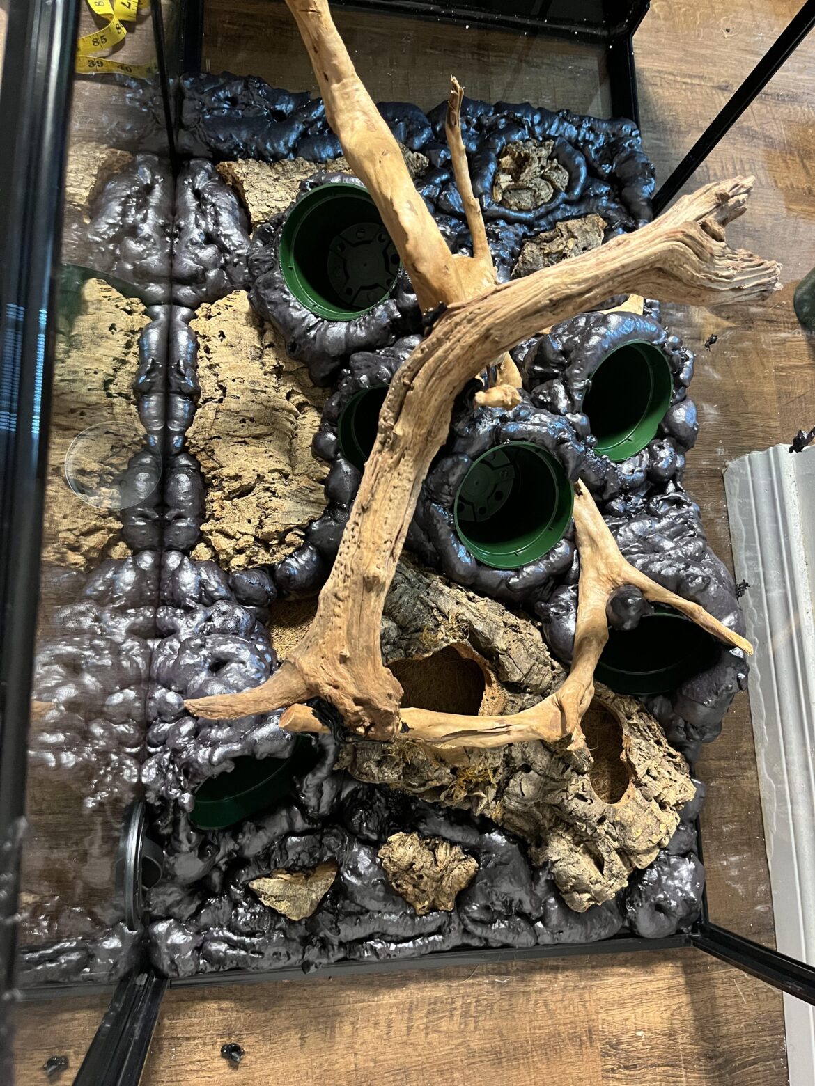 bioactive crested gecko wip