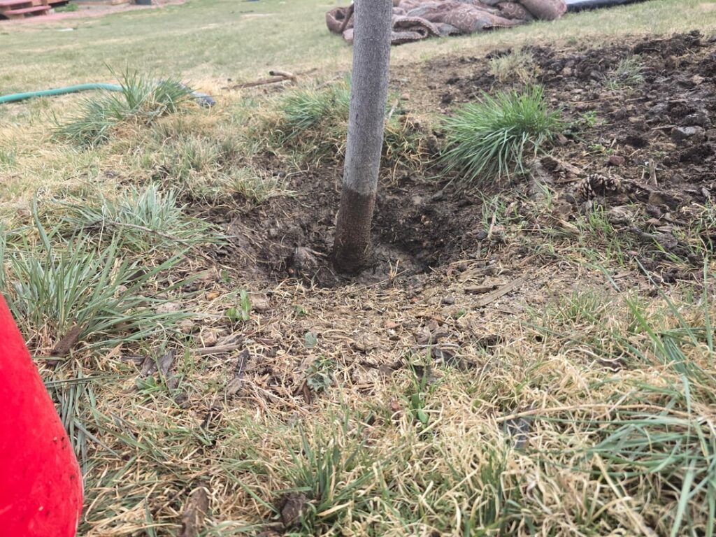 Help with buried root flair?