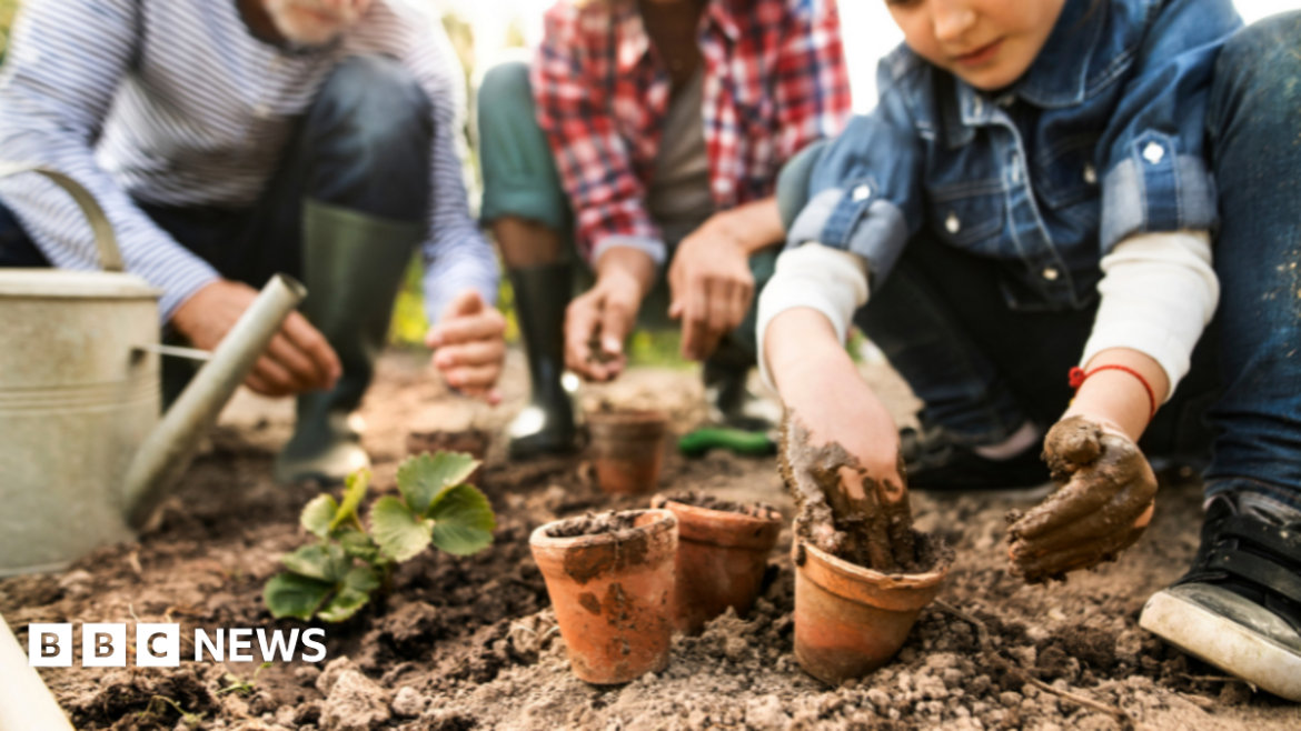 West Northants gardening policy approved to boost wellbeing A boy in a denim coat squats down next to some small plant pots. His hands are muddy.There are two adults squatting next to him.