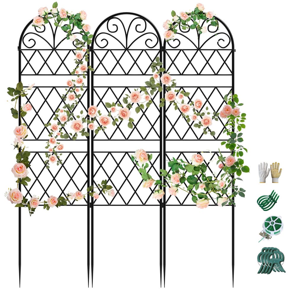 Garden Trellis for Climbing Plant Garden Trellis for Climbing Plant