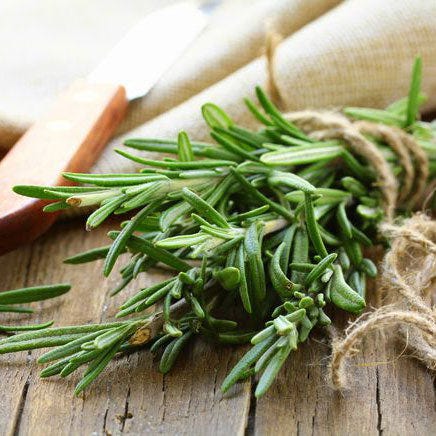<strong>Rosemary Seeds</strong> <strong>Rosemary Seeds</strong>