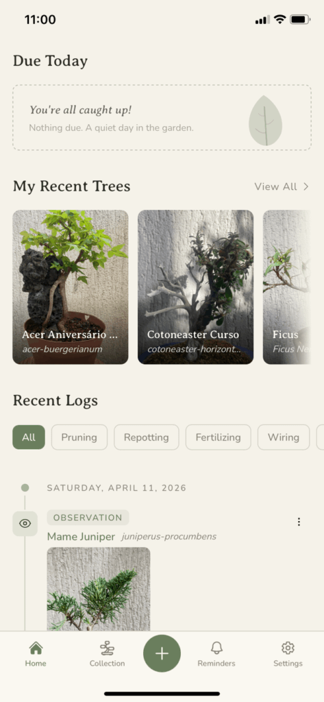 Not another AI slop bonsai care app again… Judge for yourself! Not another AI slop bonsai care app again… Judge for yourself!