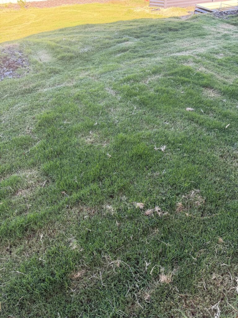 Cleanup grass clippings