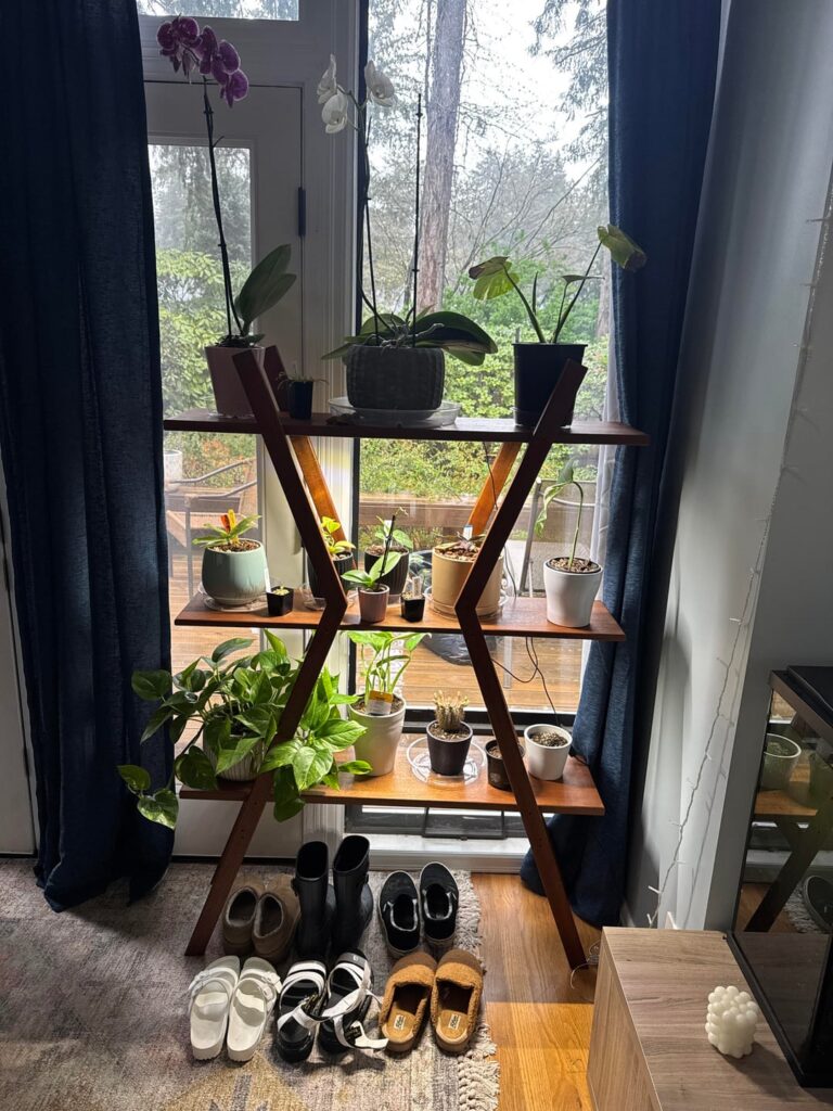 Finished my custom homemade shelf for my favorite and rare houseplants.