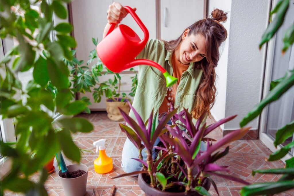 Home Gardening Is Becoming More Climate-Responsive, With People Adjusting Plant Choices Based on Weekly Weather Shifts