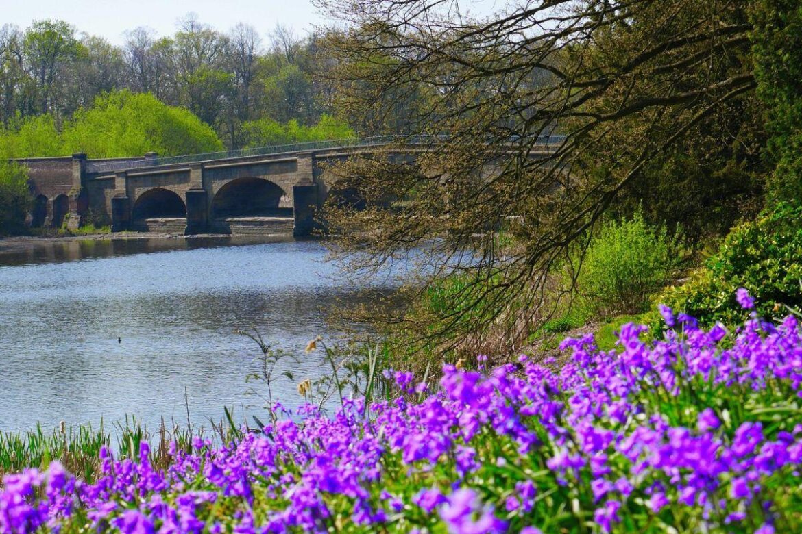 National Trust garden visited by Alan Titchmarsh among UK's most glorious right now