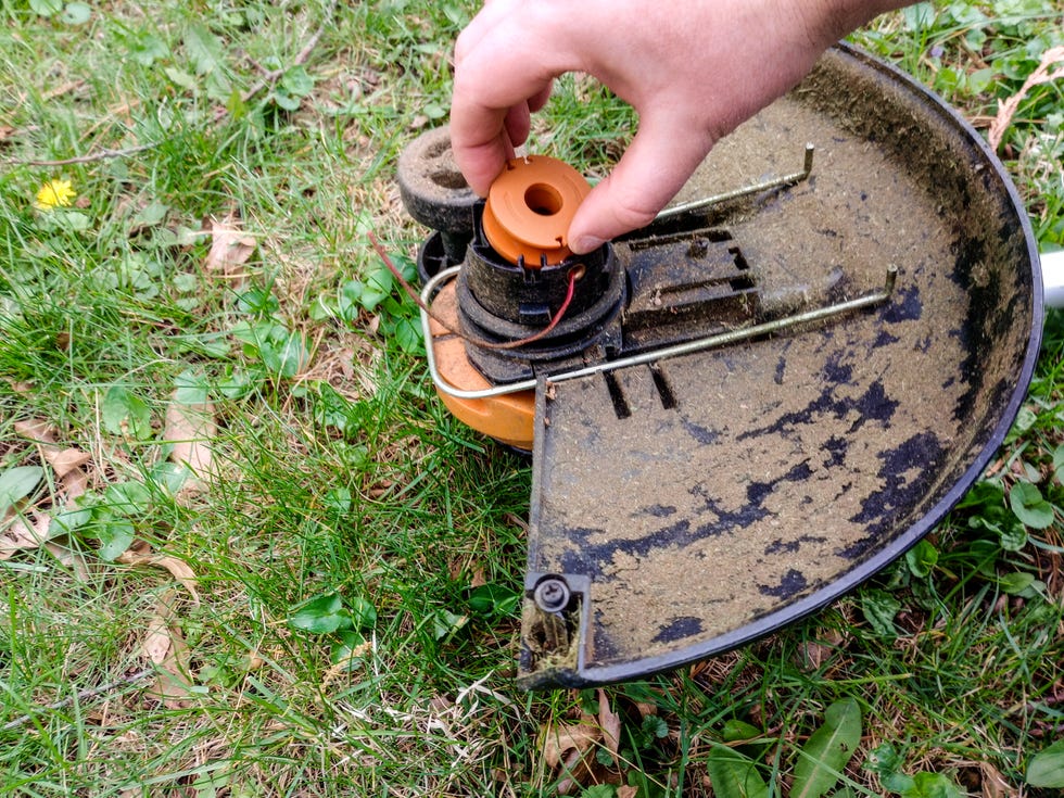Hand adjusting a part of a lawn trimmer on grass. Hand adjusting a part of a lawn trimmer on grass.