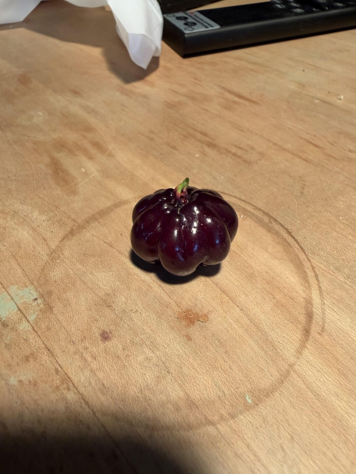What type of berry is this