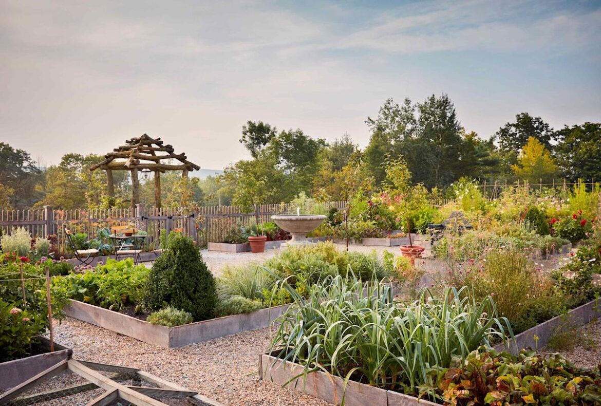 9 Tips for Creating a Raised Bed Garden That’s Both Beautiful and Bountiful
