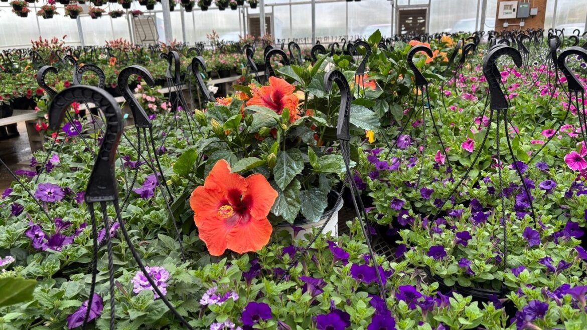 Edible Plant Sale and Garden Tips at Darby Creek Nursery station icon