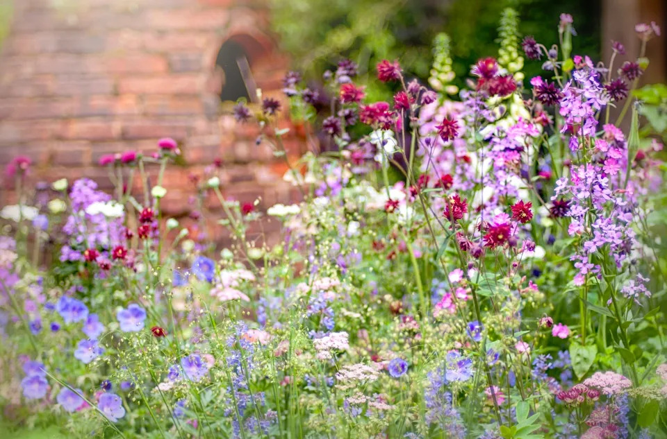 vibrant wildflower garden with a rustic brick background