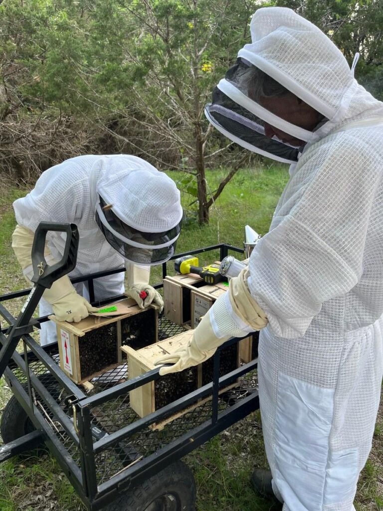 Things Are Buzzing