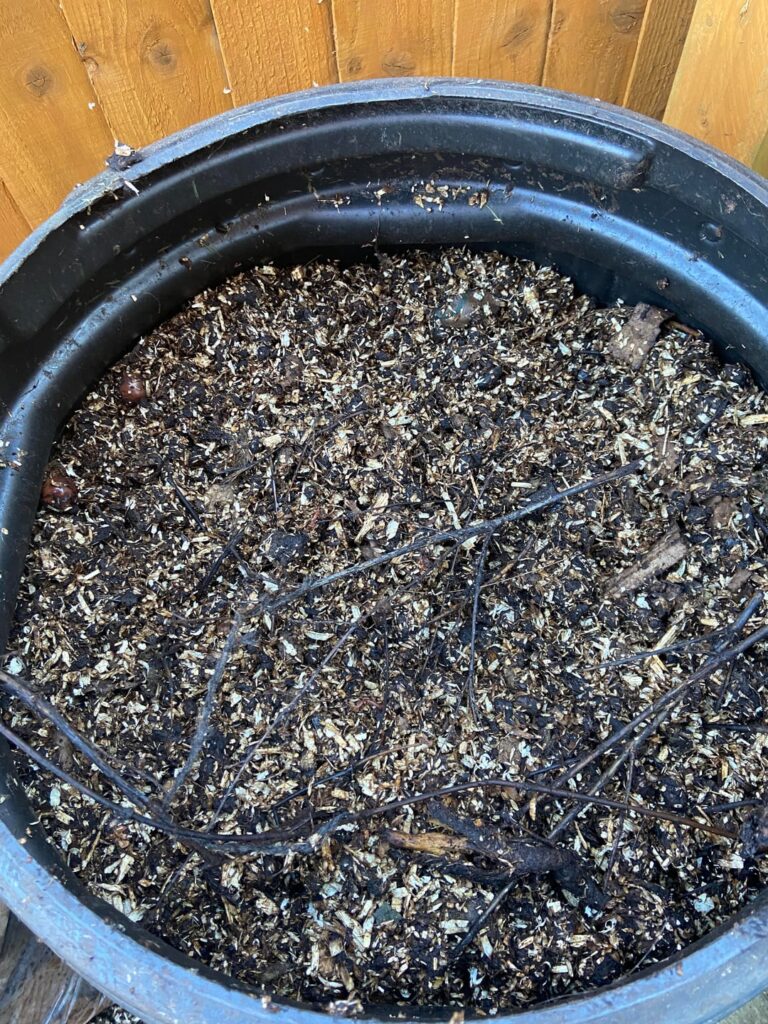 Compost update - how does this look, oh wise subreddit?