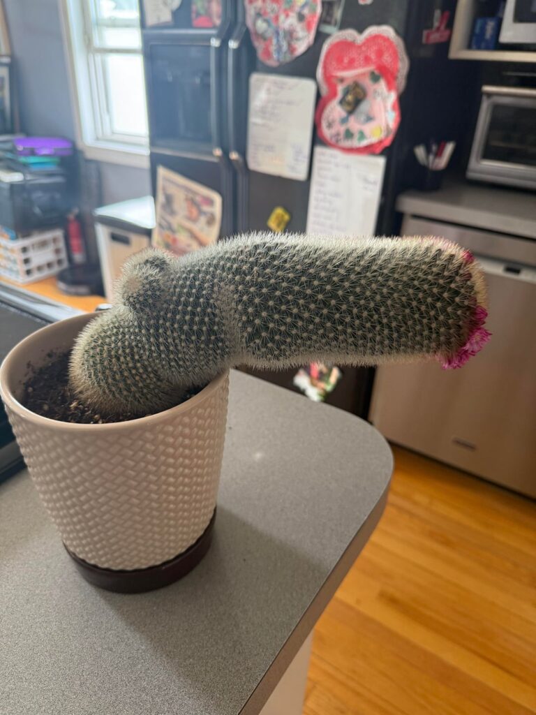 What do I do?