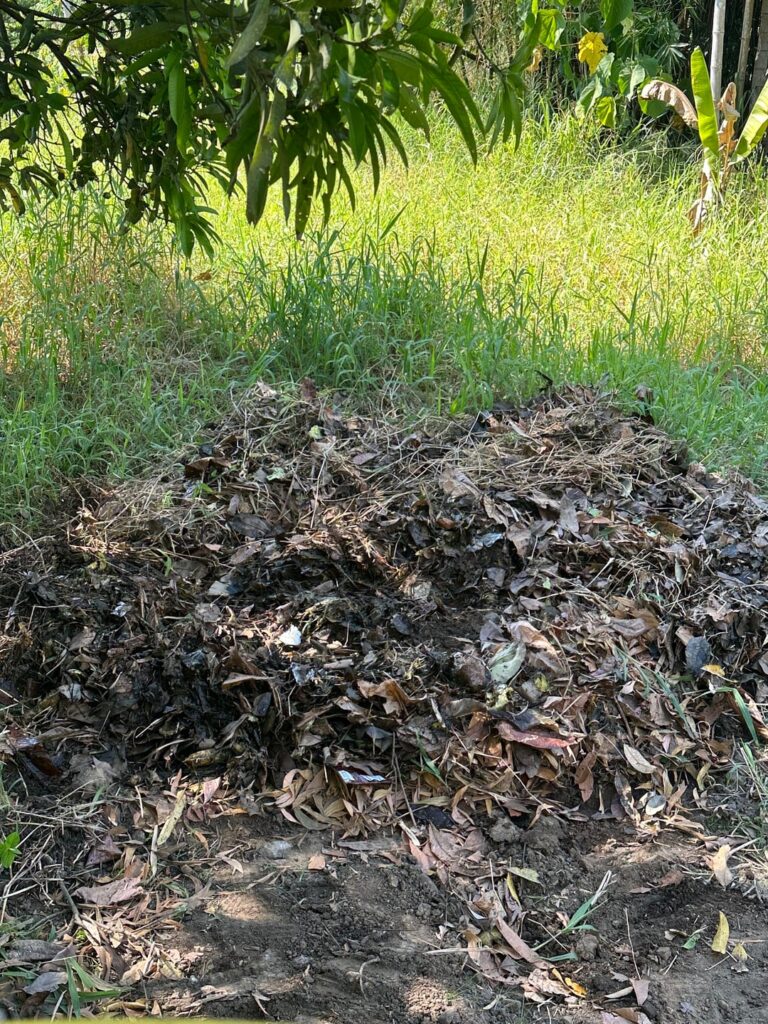 Opinions on my hot compost pile Opinions on my hot compost pile