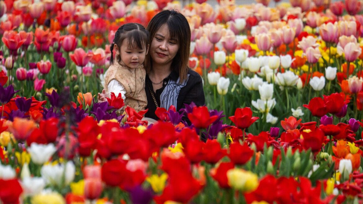 8 of the world’s best public gardens 8 of the world’s best public gardens