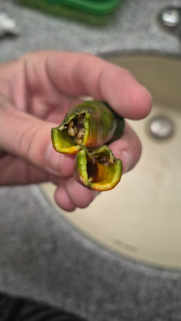 What is this on my indoor cayenne plant?