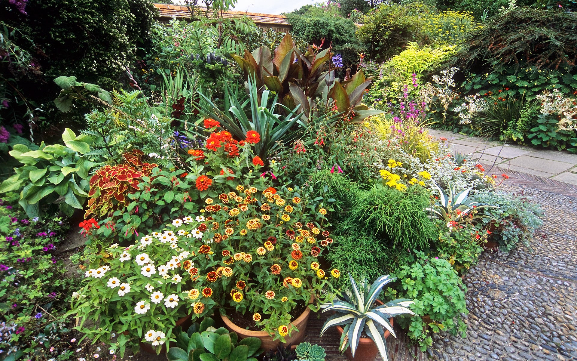 Container garden
