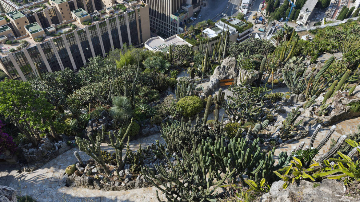 Monaco’s Exotic Garden reopens after six years of renovation Monaco’s Exotic Garden reopens after six years of renovation