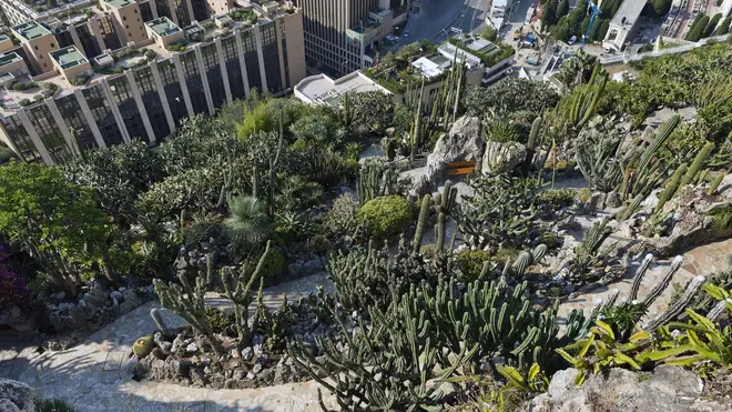 Town partial view and the exotic garden. Montecarlo. Monaco