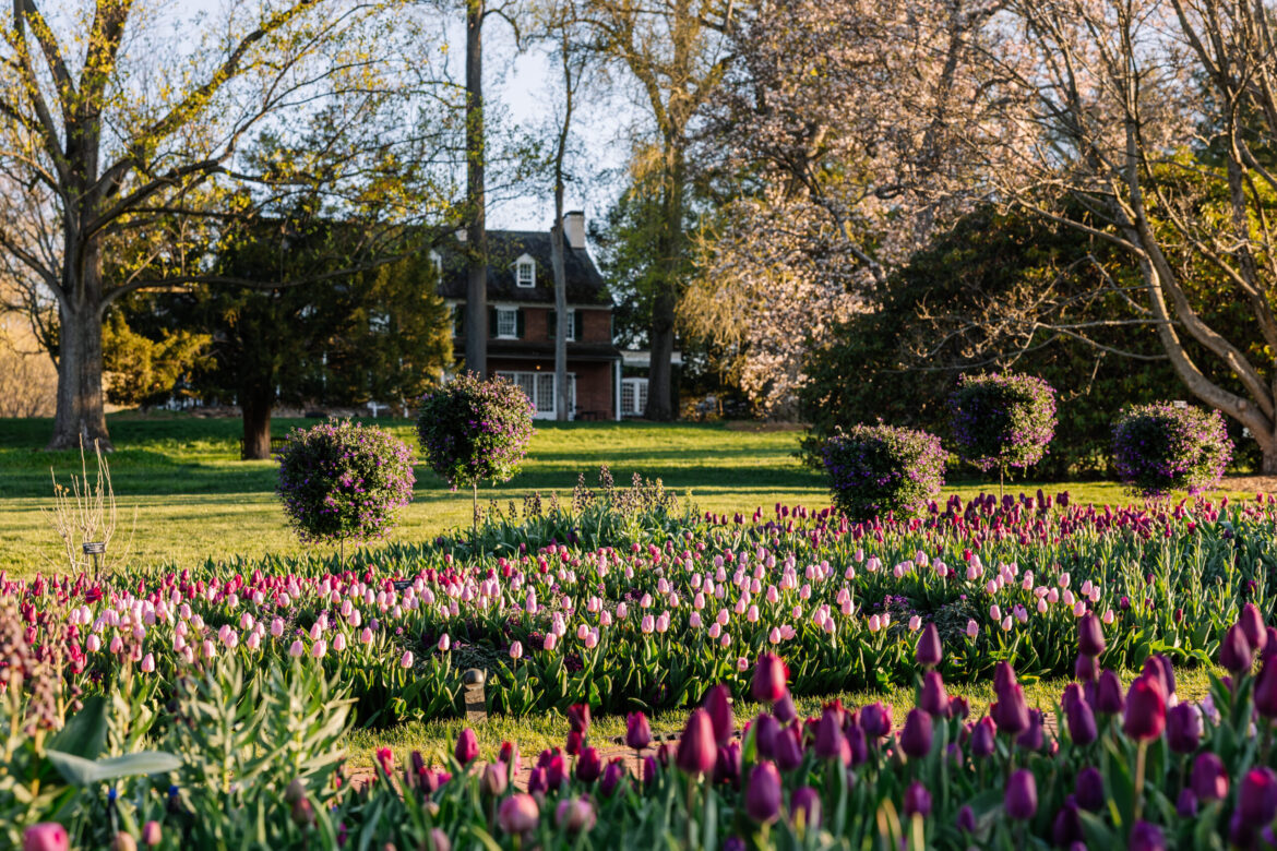 Why Spring Blooms Is the Most Beautiful Time to Visit Longwood Gardens